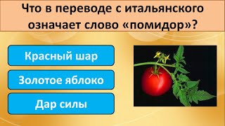 Тест на эрудицию - Узнай насколько ты эрудирован. І Страны, География, История