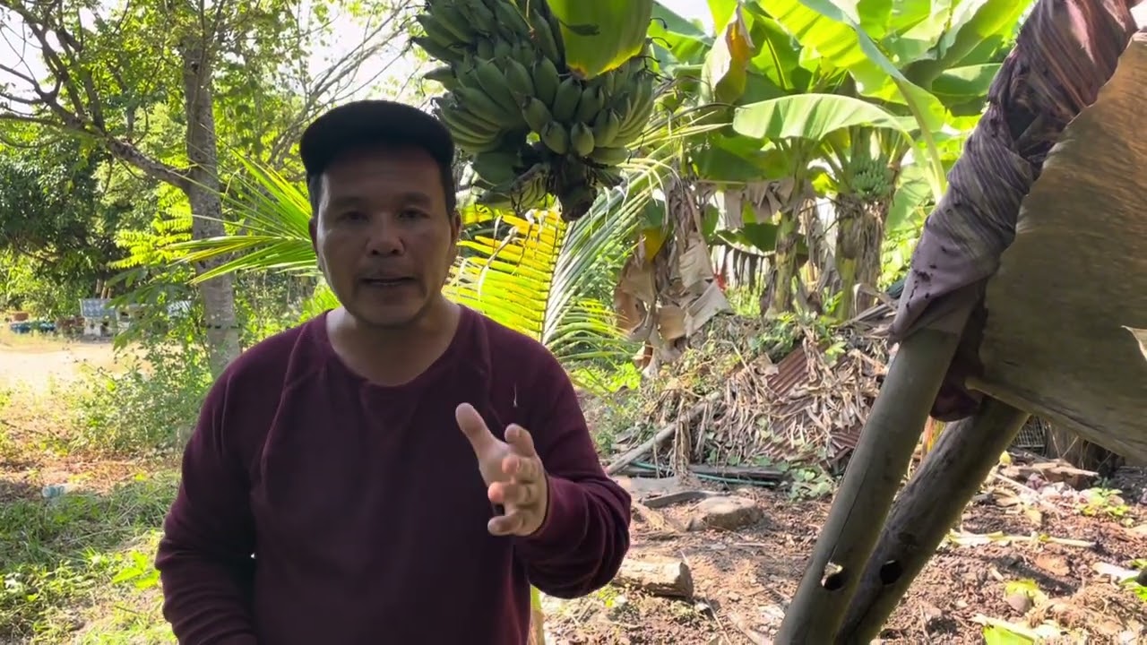 ต้องเปิดตาดอกกี่รอบ พ่นสารช่อแห้งต้องทำยังไง