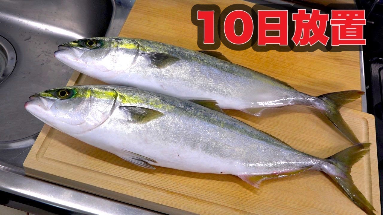 10日間内臓を入れたまま冷蔵庫に放置した魚がヤバすぎた