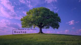Rooted - Peach Fizz Music Official Audio