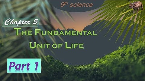 Class 9 Science - Chapter 5 | The Fundamental Unit of Life | Part 1