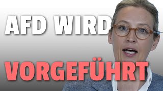 AfD unter massivem BESCHUSS!!