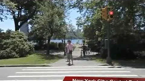 Central Park Revisited