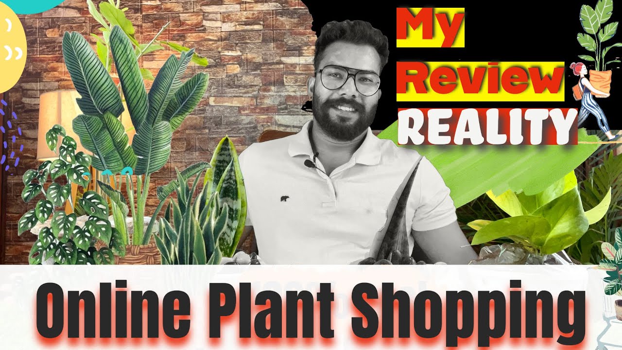 Online Plants 🪴 Shopping Experience ! Nursery Live Site Truth 🔥