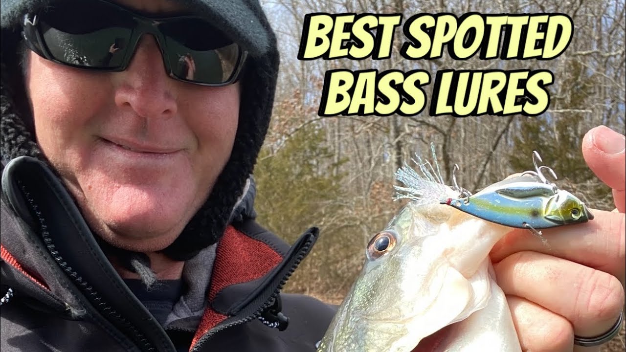 Best Spotted Bass Lures 