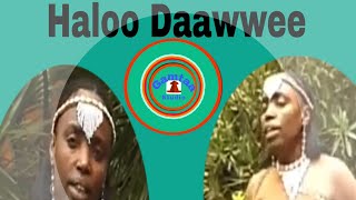 Haloo Daawwee: Wal hora warra keessanii_old Oromo music (Gamtaa Studio)November 8, 2022