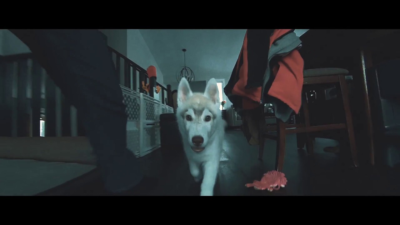 Introducing Nuka, such a cutie