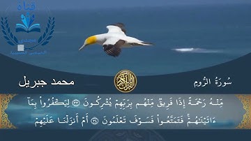 سورة الروم محمد جبريل