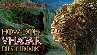 How Does Vhagar Die In The House Of The Dragon? The Largest Dragon Who Changed The War Completely!