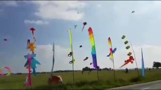 Basant Mela , Kite flying  amazing kites February 8, 2018 screenshot 2