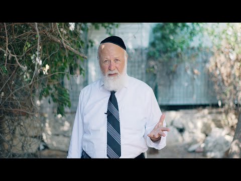 כי תבוא | על השורשים ועל הילדים