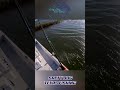 CRACKING THE CODE: Catching Speckled Trout in Galveston East Bay #fishing #fishingholiday