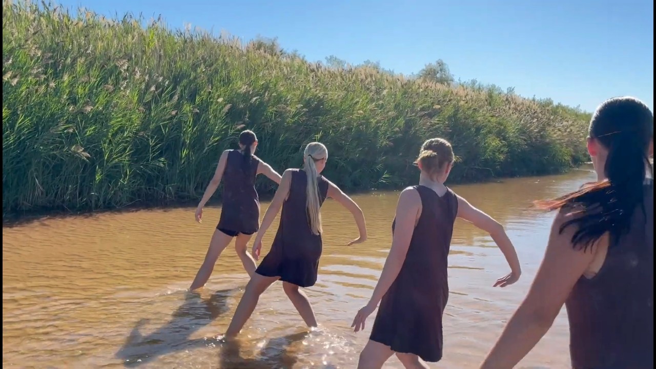 Watch Elephant Official Music Video on YouTube Watch Elephant Official Music Video on YouTube