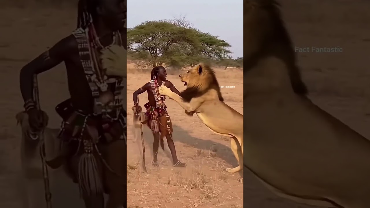 Tribal Widow Tradition of the Forest