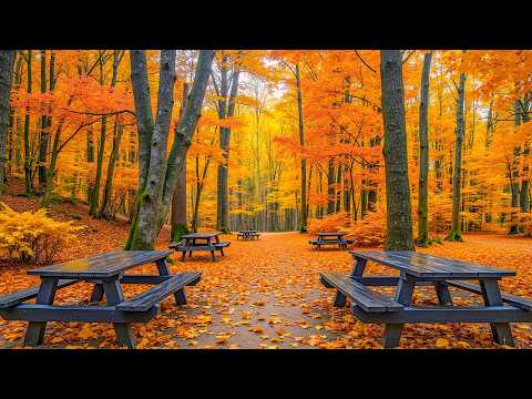 Fall Piano Music 🍁 All Your Worries Will Disappear If You Listen To This Music