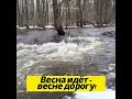 Весна идет - весне дорога!