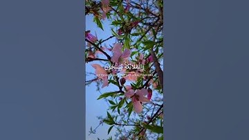 سورة الشورى | تجويد محمد صديق المنشاوي