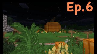 Pumpkin Patch! Minecraft Survival Guide Ep6! **1.14**