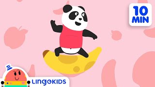 ABC SONGS FOR KIDS   The Best Lingokids ABC songs | Lingokids