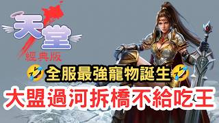 【天堂經典版】大盟過河拆橋？還是散戶只想白嫖！PVE爭議戰火，全服最強寵物「+8十字狗」？
