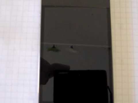 iPhone 4 Bug Sound