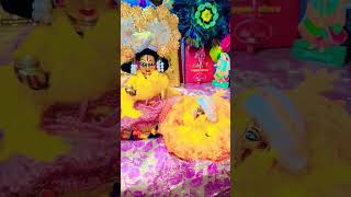 Celebrity lala koi to Aisa kaam Kiya hota #laddugopal #trending #newvideo #viralvideo #ytshorts #laddugopal Profile