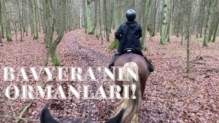 Bavyera'nın Ormanlarında At Sürdük!
