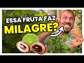 Provei a FRUTA MILAGROSA que deixa TUDO DOCE | Será que funciona?