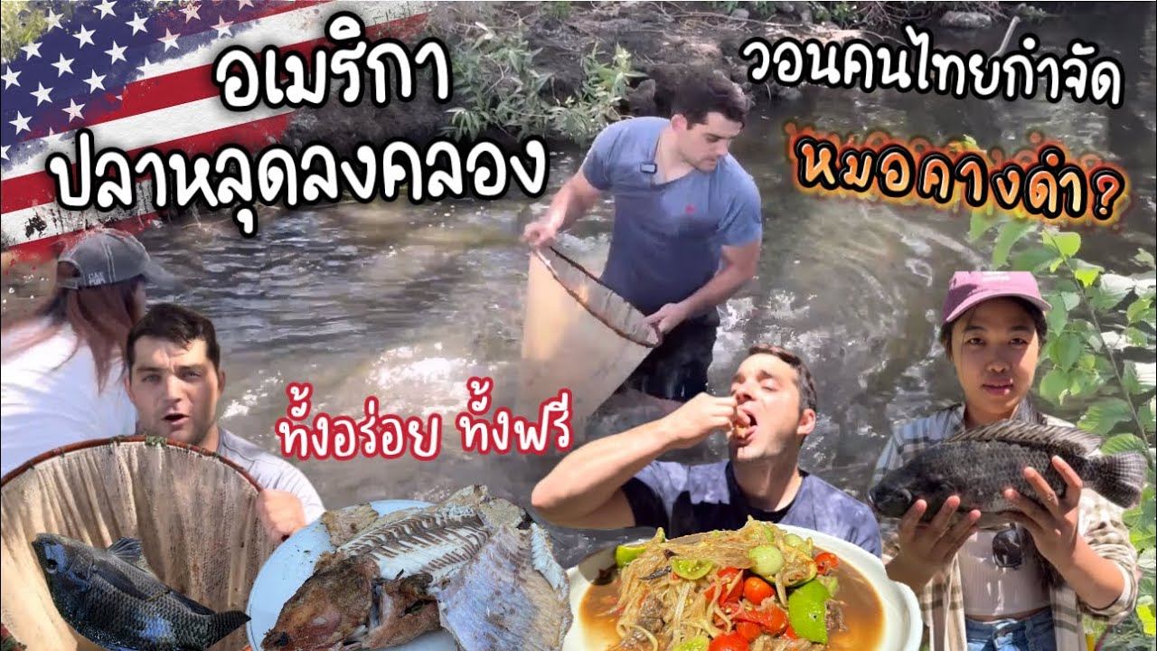 พาเขยอีสานไล่ต้อนปลาได้เต็มถัง เมื่อปลาหลุดลงคลอง คนไทยและเขยไทยเท่านั้นที่เอาอยู่