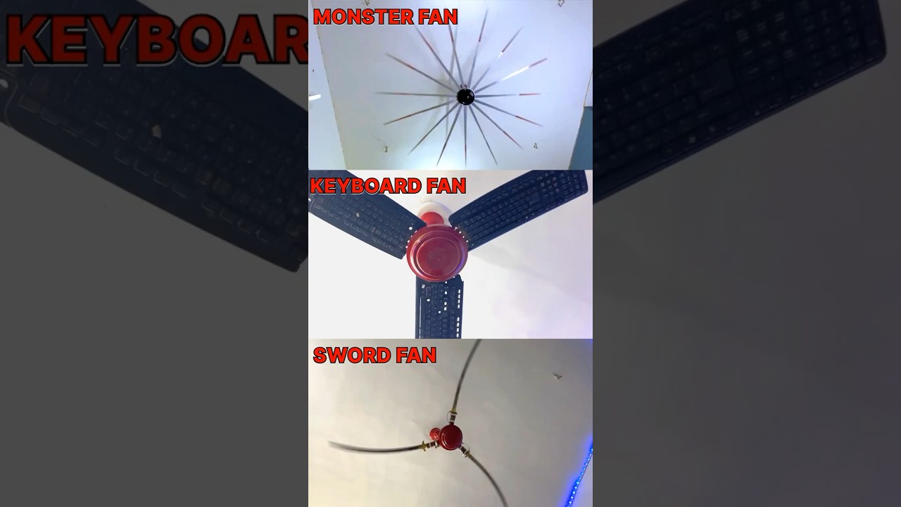 amazing unique funny FAN 