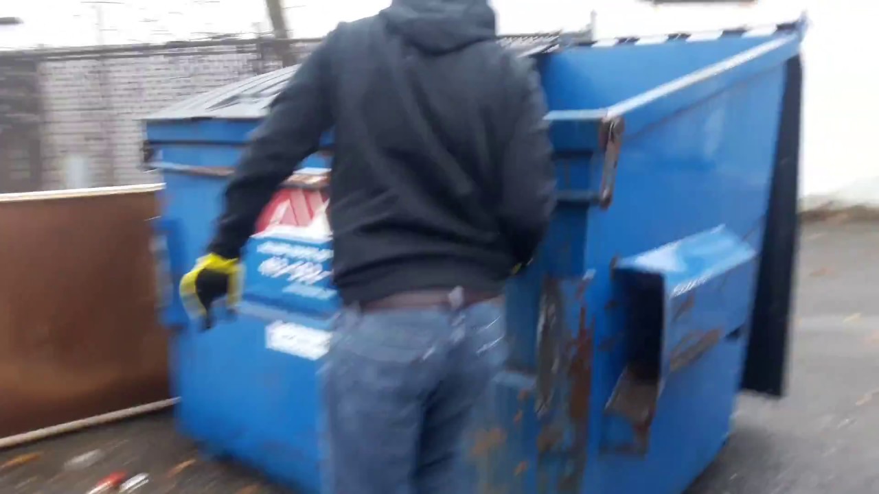 Dumpster Dive PETCO and Gamestop! YouTube