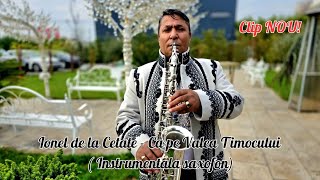 Ionel de la Cetate - Ca pe Valea Timocului ( Instrumentala saxofon)