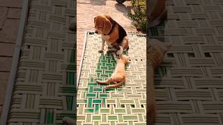 daisy ko irritated krde ne pta no react daisy jack ko nahi krde pta jack is a monster boy