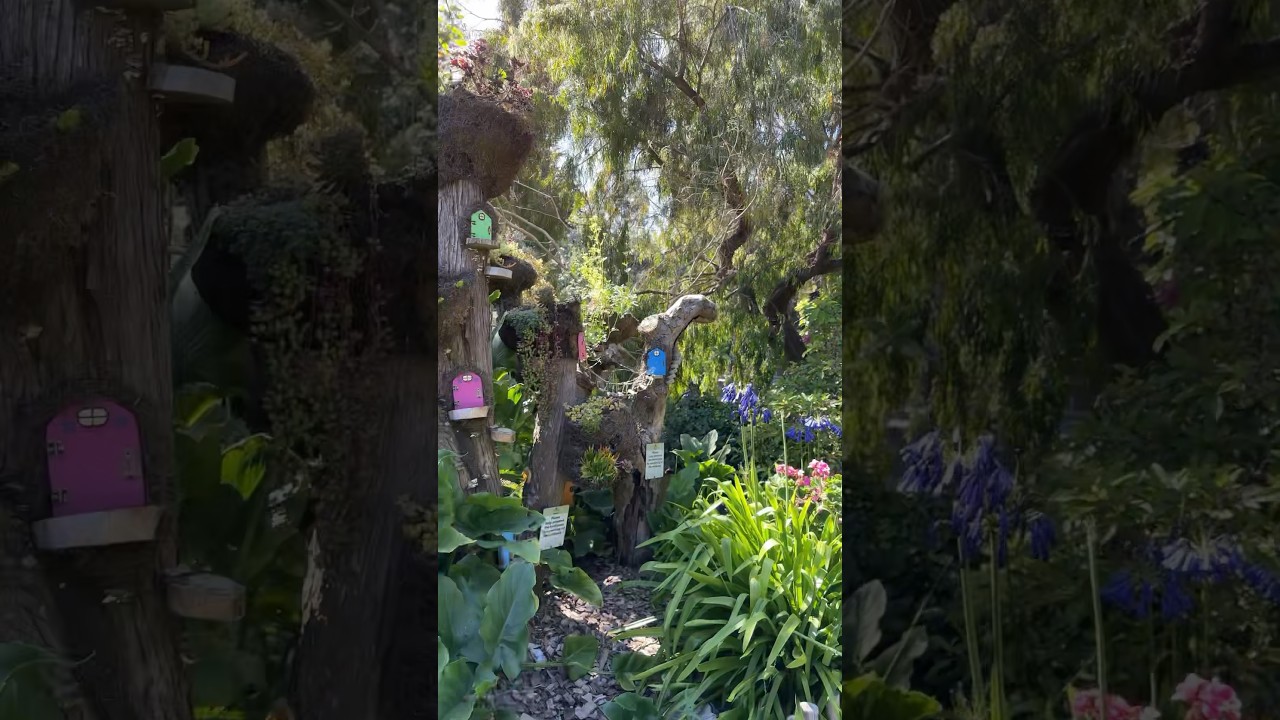 A real fairy garden!!! 