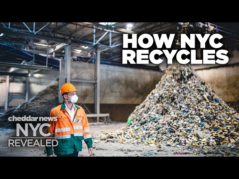 How Much Does New York Actually Recycle? - NYC Revealed