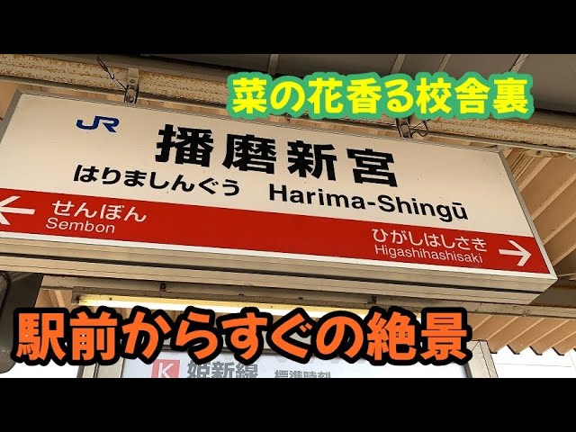 播磨新宮駅周辺はすごかった 2021青春18春1－3 - YouTube