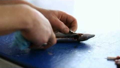 How To Fillet Sardines