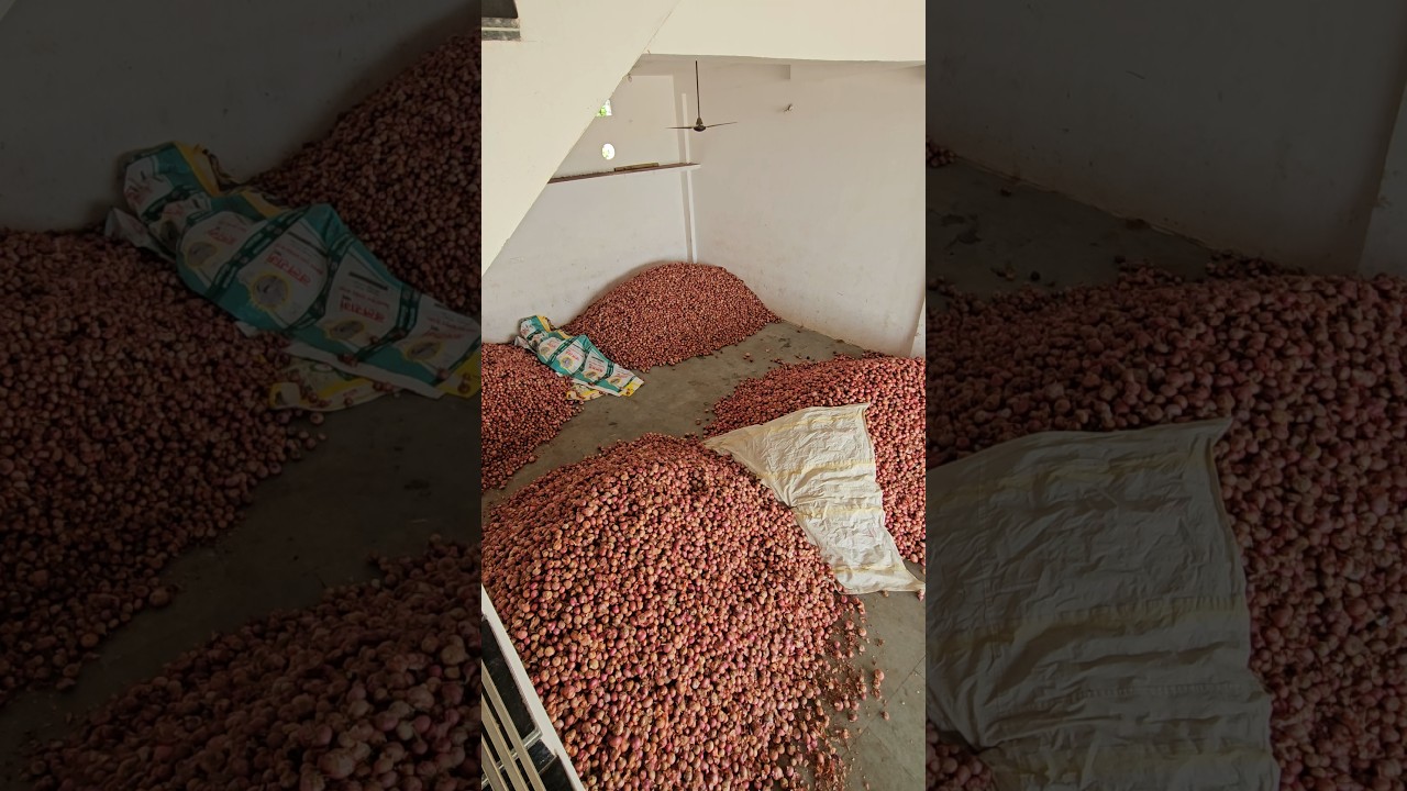 desi pyaj bhav Ratlam Mandi