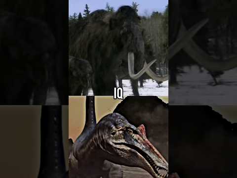 Woolly Mammoth VS
