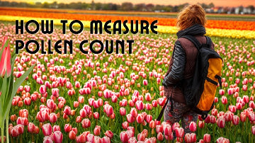 What is Pollen Count? | How Pollen Count is measured?  #allergies #weather #seasons