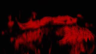 DPR IAN  - SERAPH | VISUALIZER