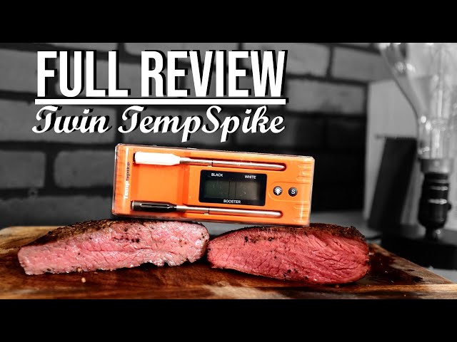 Testing Out The NEW ThermoPro Twin TempSpike with Full Review 