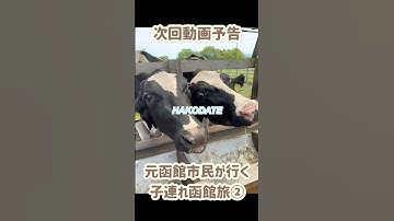 次回動画予告【子連れ函館旅行✈️観光編🐮】みんな！函館行ったら何食べる？ #赤ちゃん #赤ちゃんのいる生活 #函館 #函館グルメ #函館市 #あいす118 #函館牛乳 #街角クレープ
