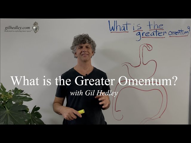 What is the Greater Omentum?