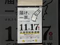 11月17日兵庫県知事投票の紙を捨てたり無くしても18歳以上ならみんな投票できますよ!斉藤元彦さんは兵庫県のスーパーヒーローです!NHK立花チャンネルを見て!