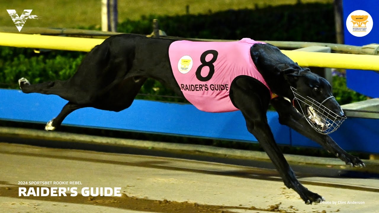 2024 Sportsbet Rookie Rebel - RAIDER'S GUIDE