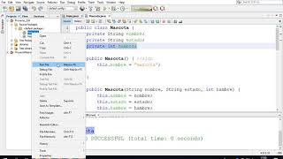 EJERCICIO OBJETOS EN JAVA (mascota)
