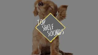 Sad Puppy - Dont You Say (You Love Me) [Top Shelf Sounds Release]
