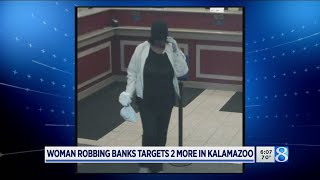 Celebrity Woman robbing banks targets 2 more in Kalamazoo Net Worth