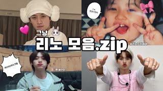 [스트레이키즈/리노] 그냥 이리노 모음.zip